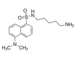 Dansylcadaverine>=97% (TLC) 1G