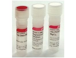 Taq DNA Polymerase from Thermus aquaticuswith 10x PCR reaction buffer without MgCl2 20X250UN