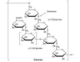 Dextranase from Penicillium sp.lyophilized powder, 100-250 units/mg protein 1KU
