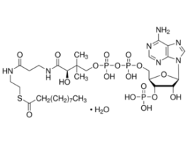 Decanoyl coenzyme A monohydrate>=90% 25MG