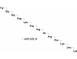 Dynorphin A Porcine Fragment 1-13>=97% (HPLC)