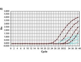 JumpStart(TM) Taq ReadyMix(TM) for Quantitative PCRFor probe-based real-time PCR 400RXN