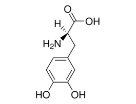 3,4-Dihydroxy-D-phenylalaninepowder, >=98% 1G