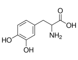 3,4-Dihydroxy-DL-phenylalanine 25G
