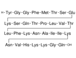 beta-Endorphin rat>=97% (HPLC)