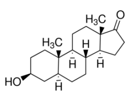 trans-Androsterone 10G