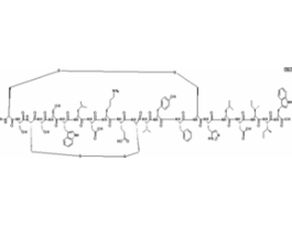 Endothelin 2 human>=97% (HPLC), powder .1MG