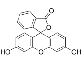 Fluorescein (free acid)Dye content 95 % 2.5G
