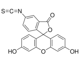 Fluorescein isothiocyanate isomer Isuitable for protein labeling, >=90% (HPLC), powder 500MG