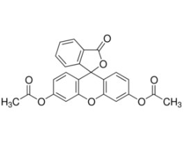 Fluorescein diacetateused as cell viability stain 5G