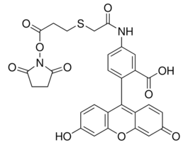 Fluorescein-5-EX N-hydroxysuccinimide ester