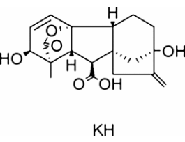Gibberellic acid potassium saltBioReagent, plant cell culture tested, ~95%, >=50% total GA3 basis 5G