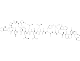 Gastrin II Sulfated>=95% (HPLC)