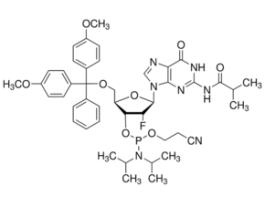 DMT-2'Fluoro-dG(ib) Phosphoramiditeconfigured for PerkinElmer, configured for Polygen 2G