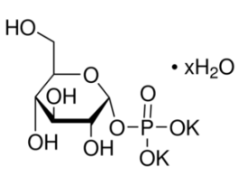 alpha-D-Glucose 1-phosphate dipotassium salt hydrateBioXtra, >=98% 1G