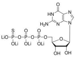 Guanosine 5'-[gamma-thio]triphosphate tetralithium salt>=75% (HPLC), powder 25MG