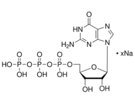 Guanosine 5'-triphosphate sodium salt hydrate>=95% (HPLC), powder 250MG