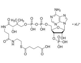 Glutaryl coenzyme A lithium salt>=90% 10MG
