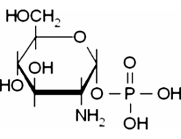 alpha-D-Glucosamine 1-phosphate 5MG