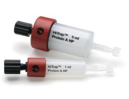 HiTrap(R) Protein A High PerformanceGE Healthcare, 17-0402-01, pack of 5 x 1 mL