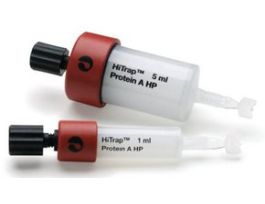 HiTrap(R) Protein A High PerformanceGE Healthcare, 17-0403-01, pack of 1 x 5 mL