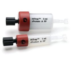 HiTrap(R) rprotein A Fast FlowGE Healthcare, 17-5080-01, pack of 1 x 5 mL