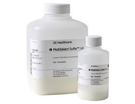 MABSELECT SURE LX 25 ML