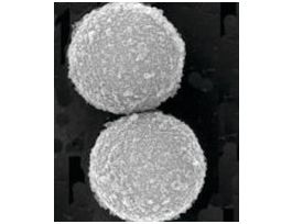 Sera-Mag(TM) SpeedBeads(TM) Blocked Streptavidin particlesGE Healthcare, 21152104011150, 1 mum avg. part. size, suspension (1% Solids)