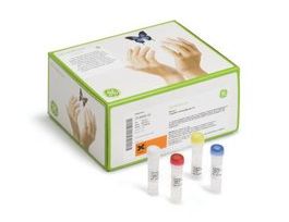 TempliPhi(TM) 500 Amplification KitGE Healthcare, 25-6400-50