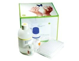 GFX 96 PCR PURIF KIT  10X96 WELL PLATES