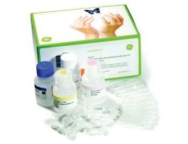 GFX(TM) PCR DNA and Gel Band Purification KitGE Healthcare, 28-9034-70