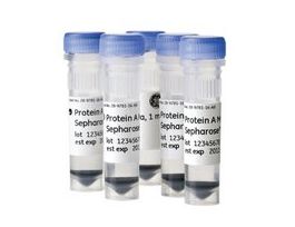 Protein A Mag Sepharose(R) XtraGE Healthcare, 28-9670-62, pack of 5 x 1 mL