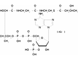 DL-beta-Hydroxybutyryl coenzyme A lithium salt>=90% 25MG