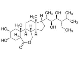 22(S),23(S)-Homobrassinolide