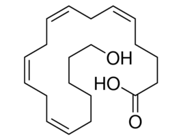 20-Hydroxy-(5Z,8Z,11Z,14Z)-eicosatetraenoic acid~100 mug/mL in ethanol, >=90% (HPLC) 10UG