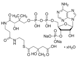 DL-3-Hydroxy-3-methylglutaryl coenzyme A sodium salt hydrate>=90% (HPLC) 10MG