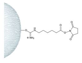N-Hydroxysuccinimidyl-Sepharose(R) 4 Fast Flowmatrix fast-flow highly cross-linked 4% beaded agarose 5ML