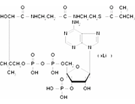 Isobutyryl coenzyme A lithium salt>=85% 5MG