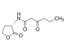 N-(beta-Ketocaproyl)-L-homoserine lactone>=98% 50MG