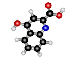 Kynurenic acid>=98% 5G