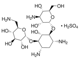 Kanamycin sulfate from Streptomyces kanamyceticusAnimal Component-free 25G