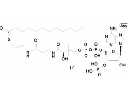 Lauroyl coenzyme A lithium salt>=90% (HPLC) 5MG