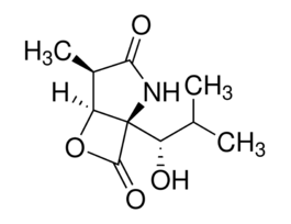 clasto-Lactacystin beta-lactone