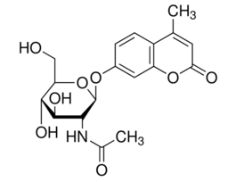 4-Methylumbelliferyl N-acetyl-beta-D-glucosaminidebeta-N-acetylhexosaminidase substrate 1G