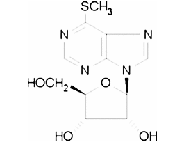 6-Methylmercaptopurine riboside>=99% (HPLC)