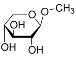 Methyl beta-D-xylopyranoside>=99% (GC) 25G