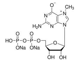 7-Methylguanosine 5'-diphosphate sodium salt>=92.5% 25MG