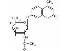 4-Methylumbelliferyl N-acetyl-beta-D-galactosaminide>=98% (HPLC) 100MG