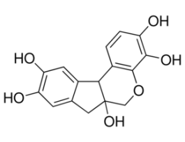 Hematoxylin Solution, Mayer's