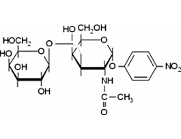 p-Nitrophenyl galacto-N-bioside>=98% 1MG